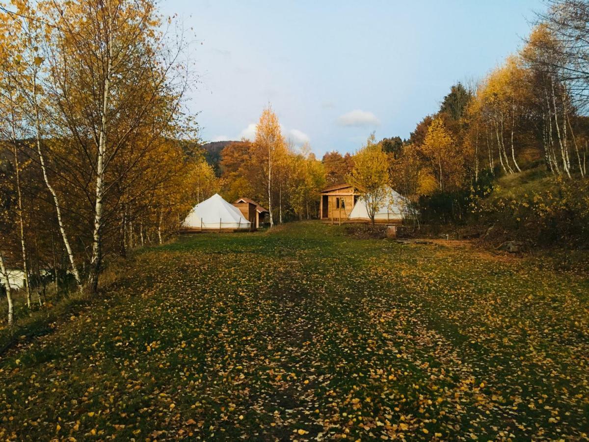 Silver Trees - Glamping Fresse-sur-Moselle المظهر الخارجي الصورة