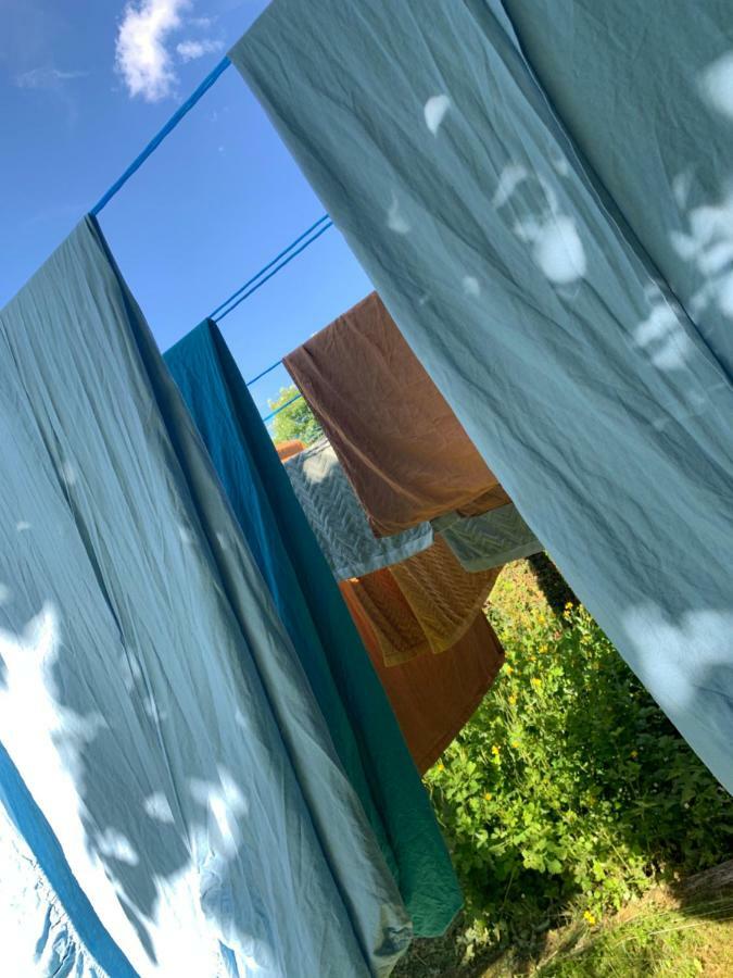Silver Trees - Glamping Fresse-sur-Moselle المظهر الخارجي الصورة